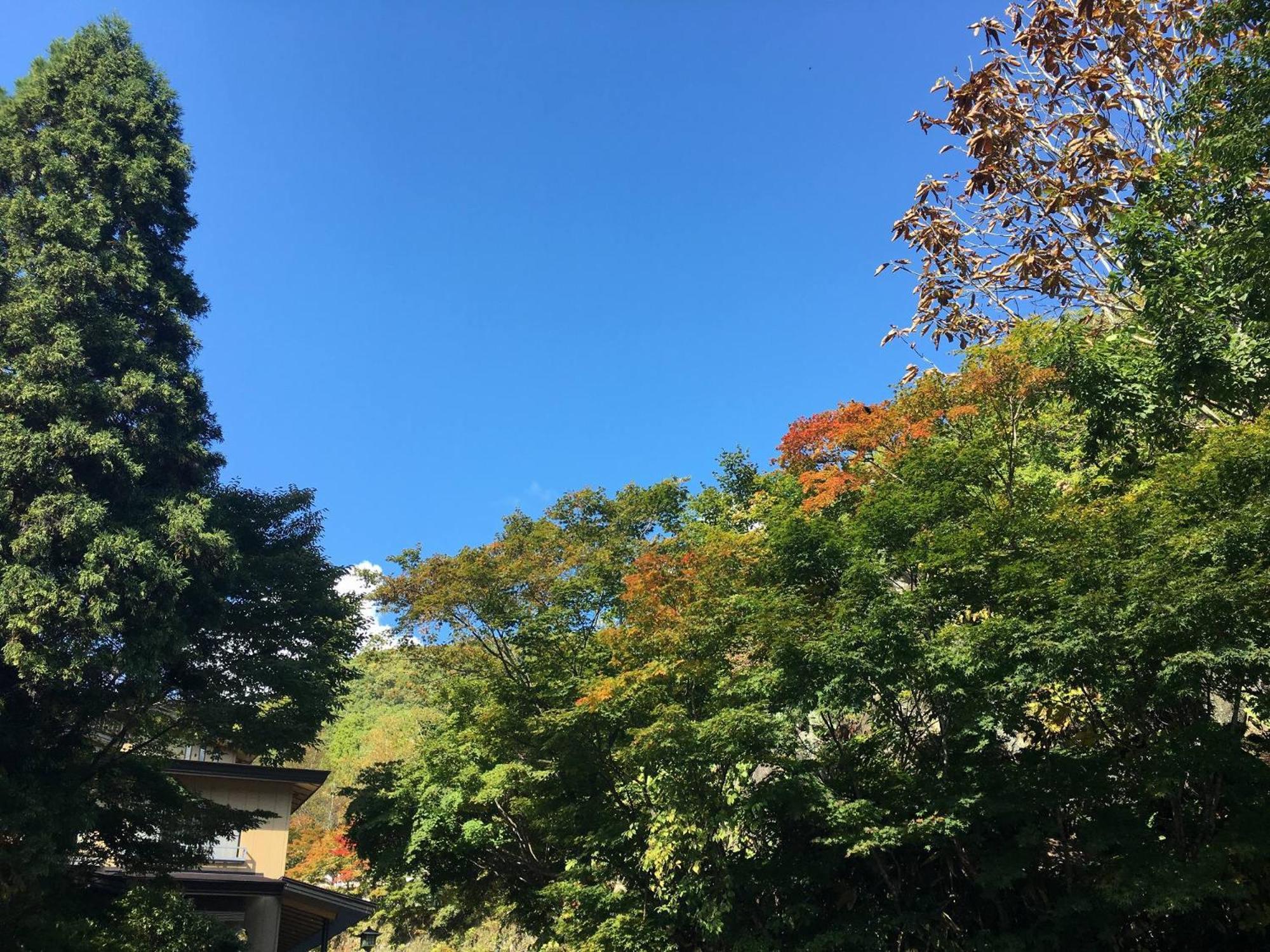 Hotel Takaragawa Onsen Ousenkaku Minakami Exteriér fotografie