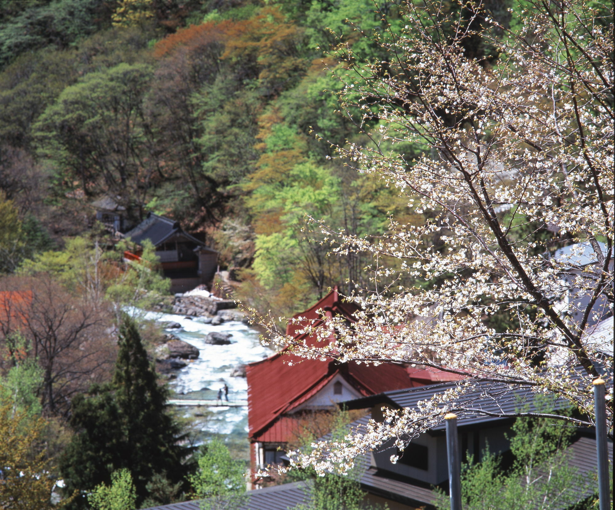 Hotel Takaragawa Onsen Ousenkaku Minakami Exteriér fotografie