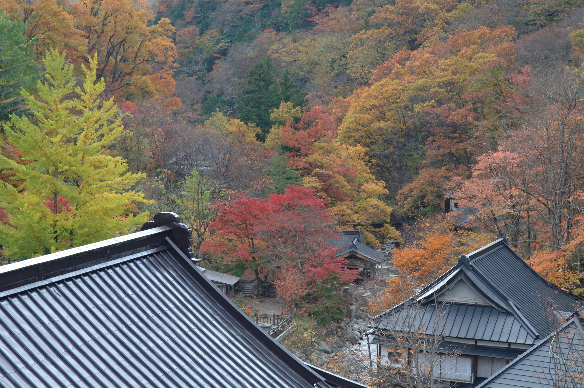Hotel Takaragawa Onsen Ousenkaku Minakami Exteriér fotografie
